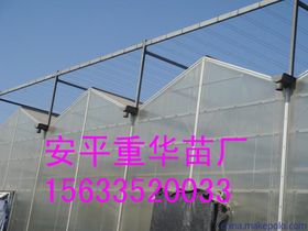 創(chuàng)新驅(qū)動下的新型膜材料制造 技術(shù)突破與應(yīng)用前景